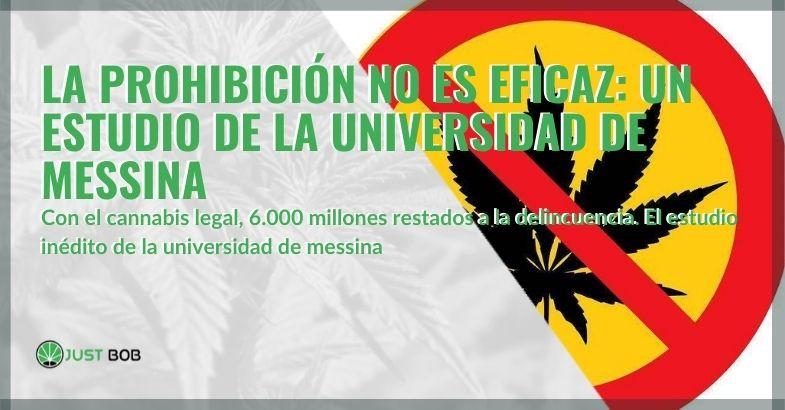 El estudio de la Universidad de Messina dice que la prohibición del cannabis no es efectiva