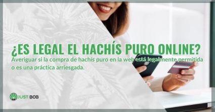 ¿Es legal comprar hachís puro online?