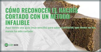 Método infalible para reconocer el hachís cortado