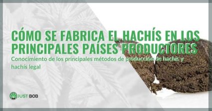 Los principales métodos de producción de hachís