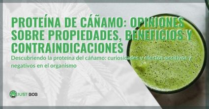 Las propiedades, beneficios y contraindicaciones de la proteína de cáñamo