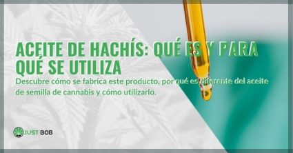 que-es-el-aceite-de-hachís-para-que-es ¿Qué es el aceite de hachís y para qué se utiliza?