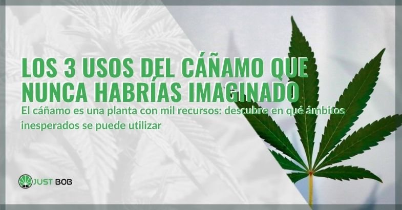 Los tres usos del cáñamo que no te imaginas