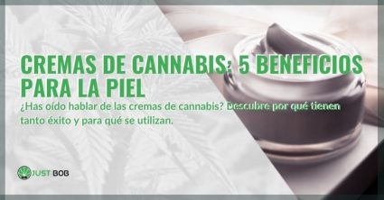 beneficios-piel-cremas-con-cannabis Los beneficios para la piel de las cremas de cannabis