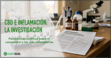 CBD e inflamación: lo que la investigación ha explorado