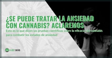 ¿Es posible curar la ansiedad con cannabis?