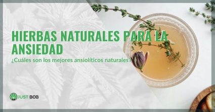 Los mejores ansiolíticos naturales