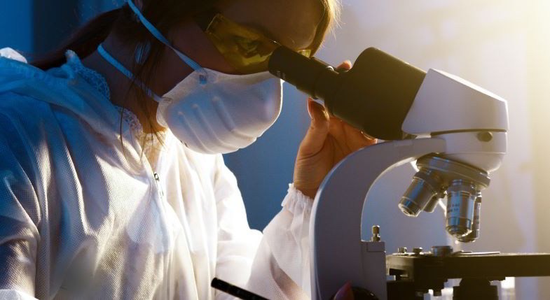Prueba de laboratorio sobre CBD para la artrosis