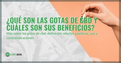 Qué son y los beneficios de las gotas de CBD