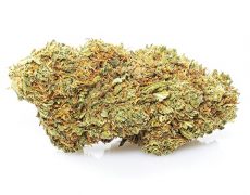 Marihuana cbd orange skunk