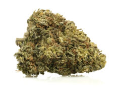 Primer plano de una cima de Marihuana cbd AK47 CBD BOOST con tricomas destacados y textura natural