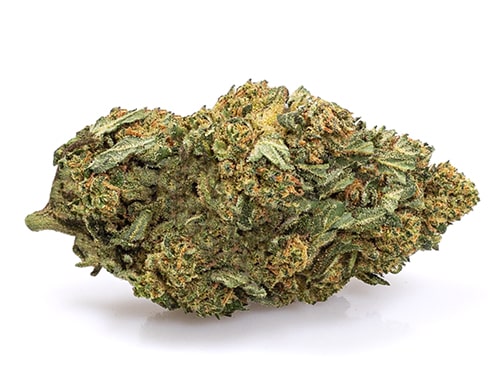 Cogollo de Marihuana CBD White Widow