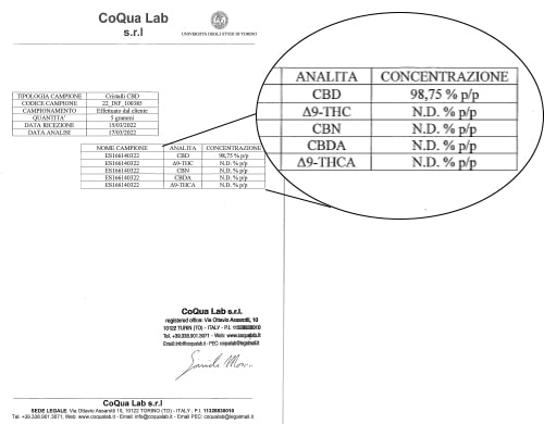 análisis fotográfico shatter cbd gorilla