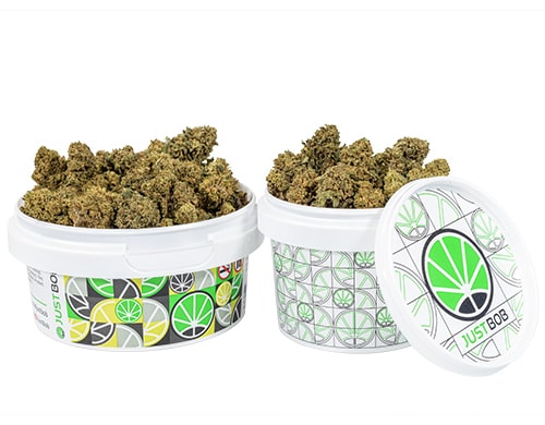 cogollos cbd bubblegum small