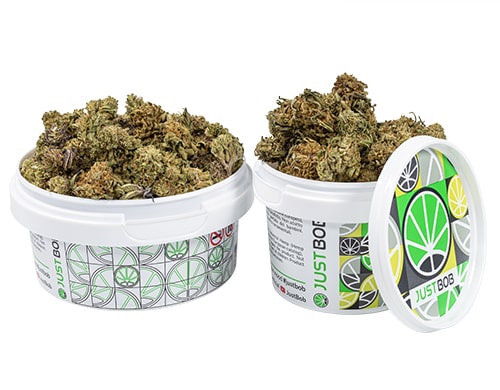 cogollos cbd california small