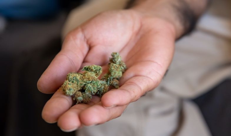 Cogollos de cannabis