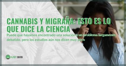 Lo que dicen los estudios sobre el cannabis y la migraña