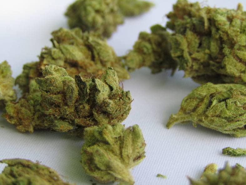 Cannabis con THC inferior al 0,3%.