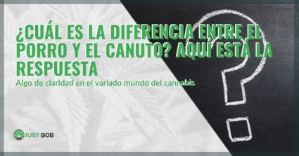 ¿Cuál es la diferencia entre un porro y un canuto?