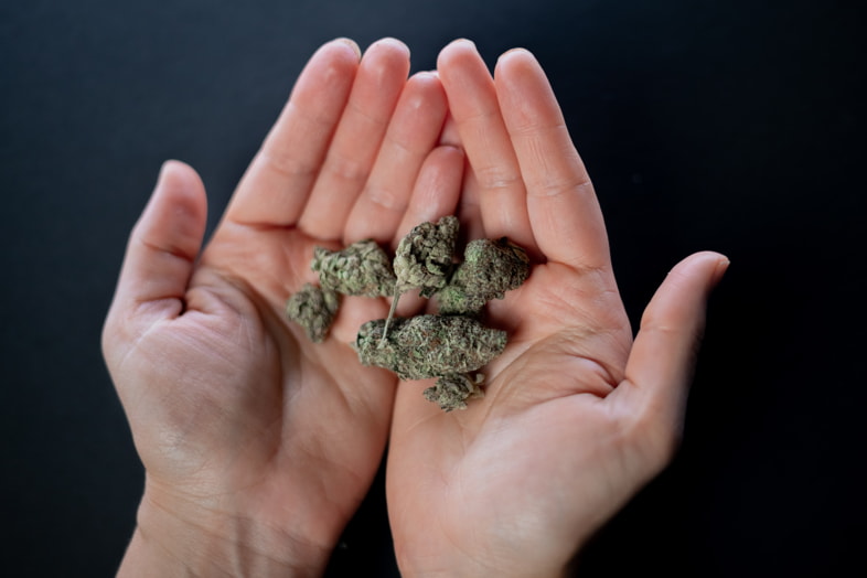 ¿Qué es el cannabis light?