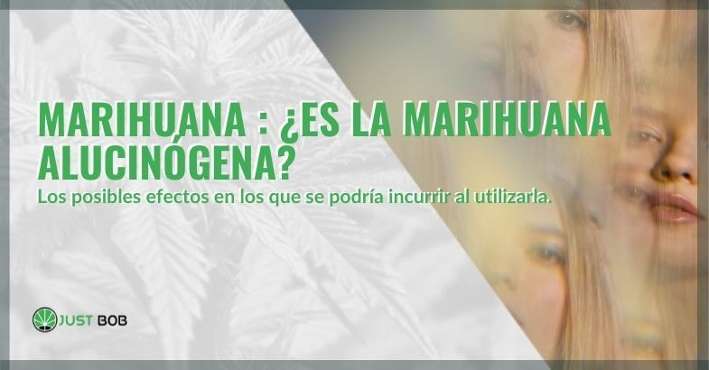 ¿La marihuana produce efectos alucinógenos?