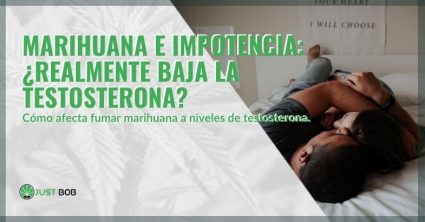 ¿La marihuana baja la testosterona dando impotencia?