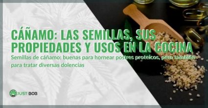 Propiedades y usos culinarios de las semillas de cáñamo