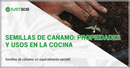 Semillas de cañamo: propiedades y usos en la cocina