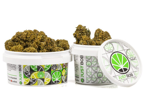 Frasco con amnesia cbd boost