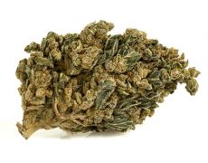 HQ-cbd-boost-marihuana-cbd