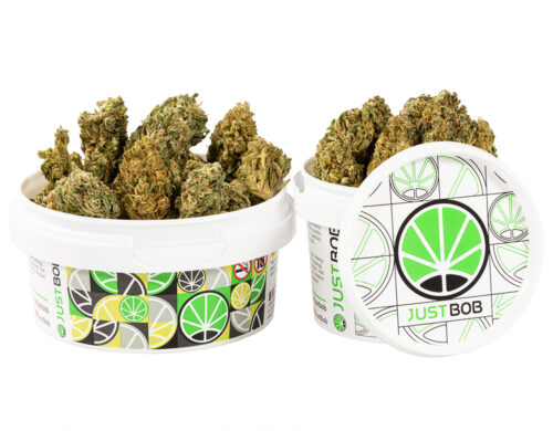 Lata de cannabis sin thc HQ cbd boost