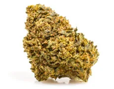 Marihuana amnesia cbd boost Marihuana amnesia cbd boost
