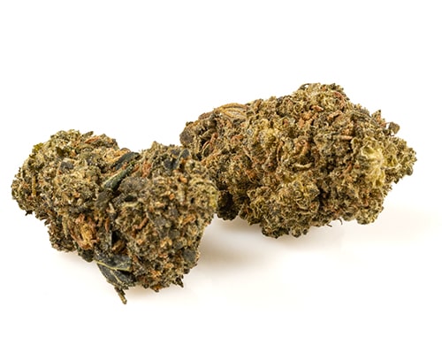 amnesia-cbd-boost-pequeño-marihuana-cbd