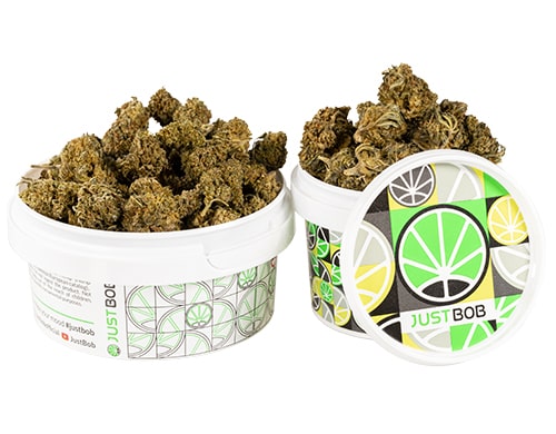 cogollos-amnesia-cbd-boost