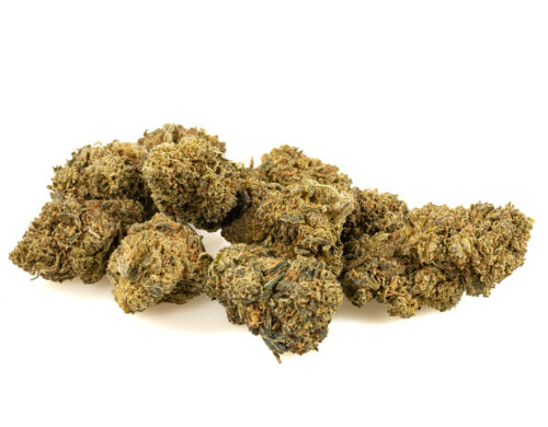 cogollos de amnesia cbd boost