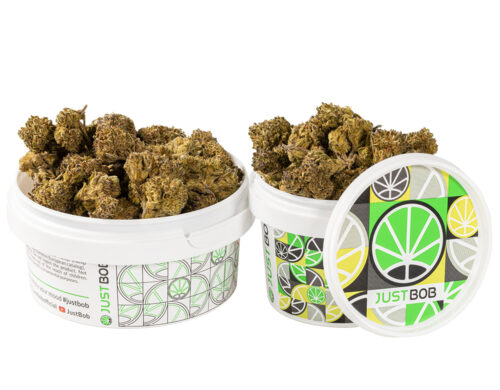 cogollos de cbd HQ cbd boost