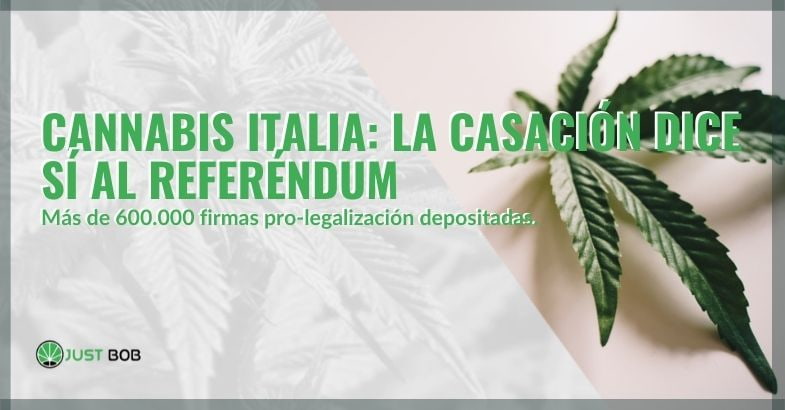 La casación italiana dice sí al referéndum sobre el cannabis