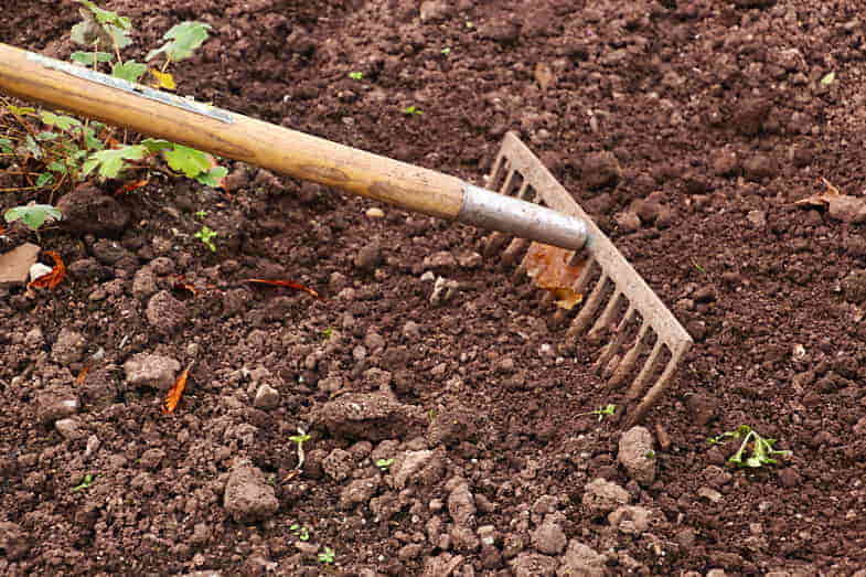 Preparación del terreno en Cerdeña para su recuperación