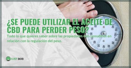 Aceite-de-CBD-para-adelgazar Aceite de CBD para adelgazar