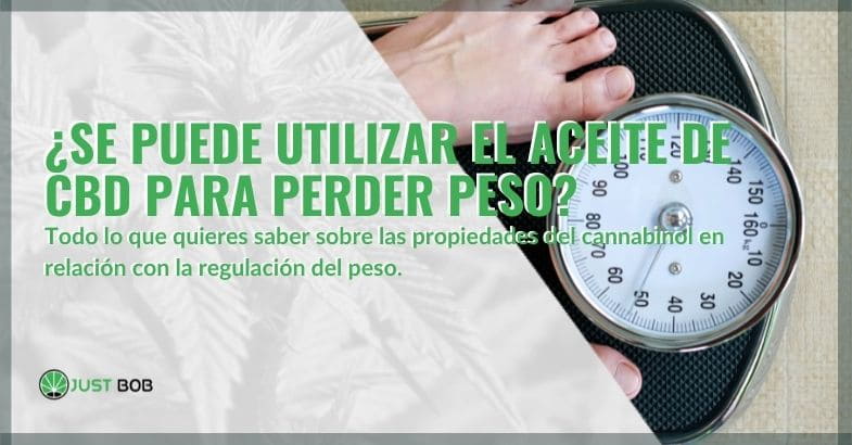 Aceite de CBD para adelgazar