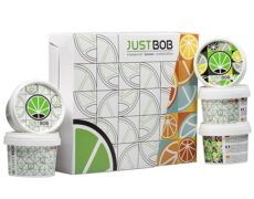 Hash Kit summer de marihuana CBD por 5 variedades