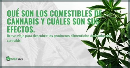 qué-efectos-tienen-los-comestibles-de-cannabis ¿Qué son los comestibles de cannabis y cuáles son sus efectos?