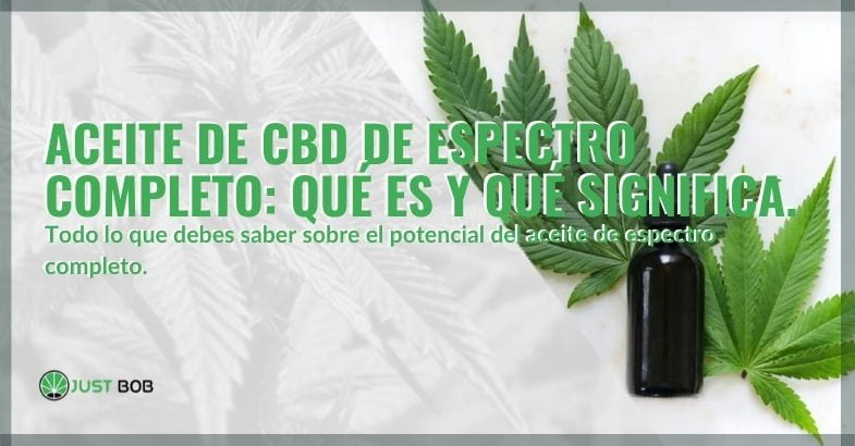 ¿Qué es el aceite de cbd de espectro completo?