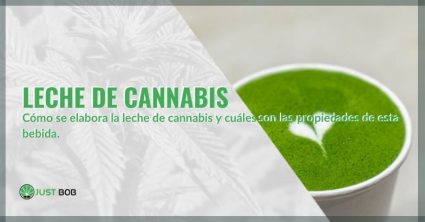 ¿Cómo se elabora y cuáles son las propiedades de la leche de cannabis?