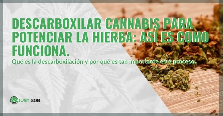 ¿Cómo funciona la descarboxilación del cannabis?