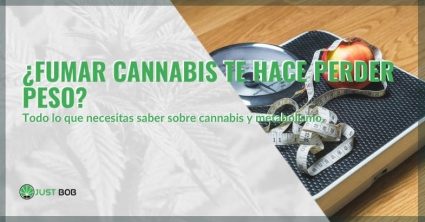 Todo sobre la pérdida de peso con cannabis