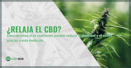 El CBD tiene efectos relajantes y antiestrés