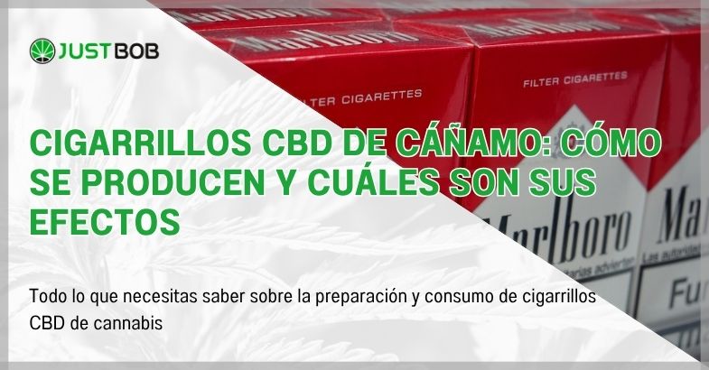 cigarillos-cbd-de-canamo Cigarrillos CBD de cáñamo: cómo se producen y cuáles son sus efectos