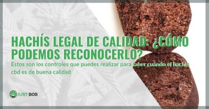 ¿Cómo reconocer el hachís legal de calidad?