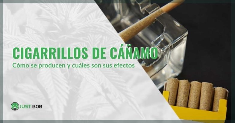 Cómo se producen los cigarrillos de cáñamo y sus efectos